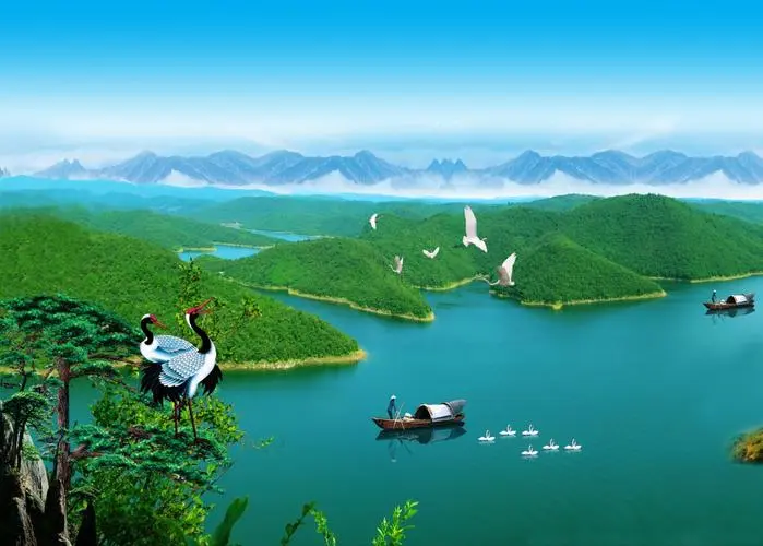高端高效全自动